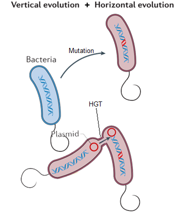 How Do Antibiotic Resistance Genes And Mutations Get Along Naturemicrobiol Jaivikshastram Jaivikshastram