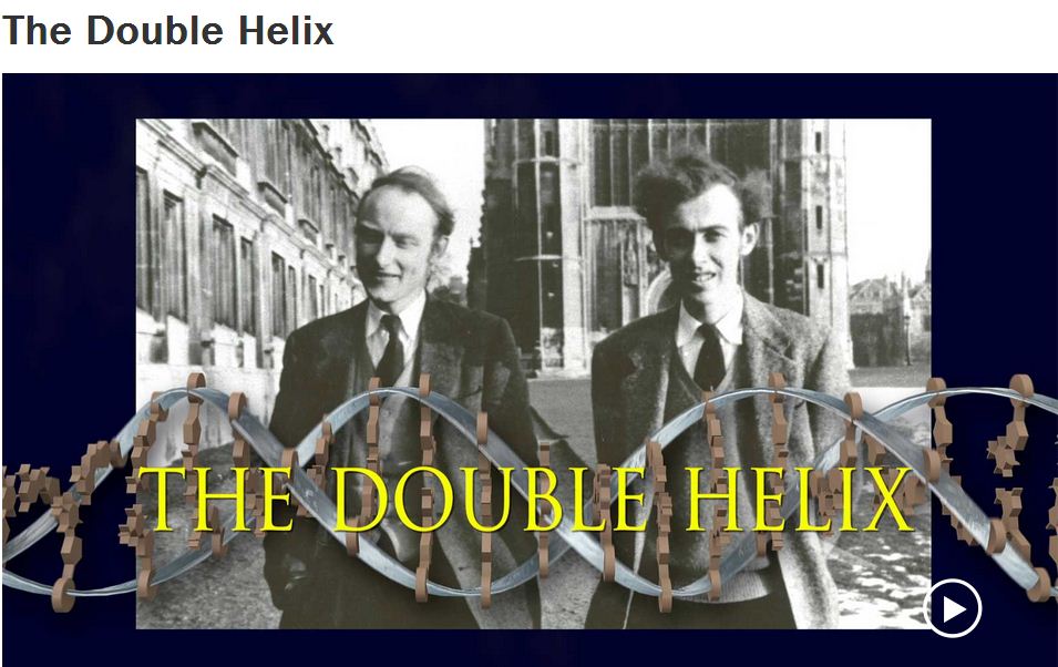 Biointeractive The Double Helix Answer Key