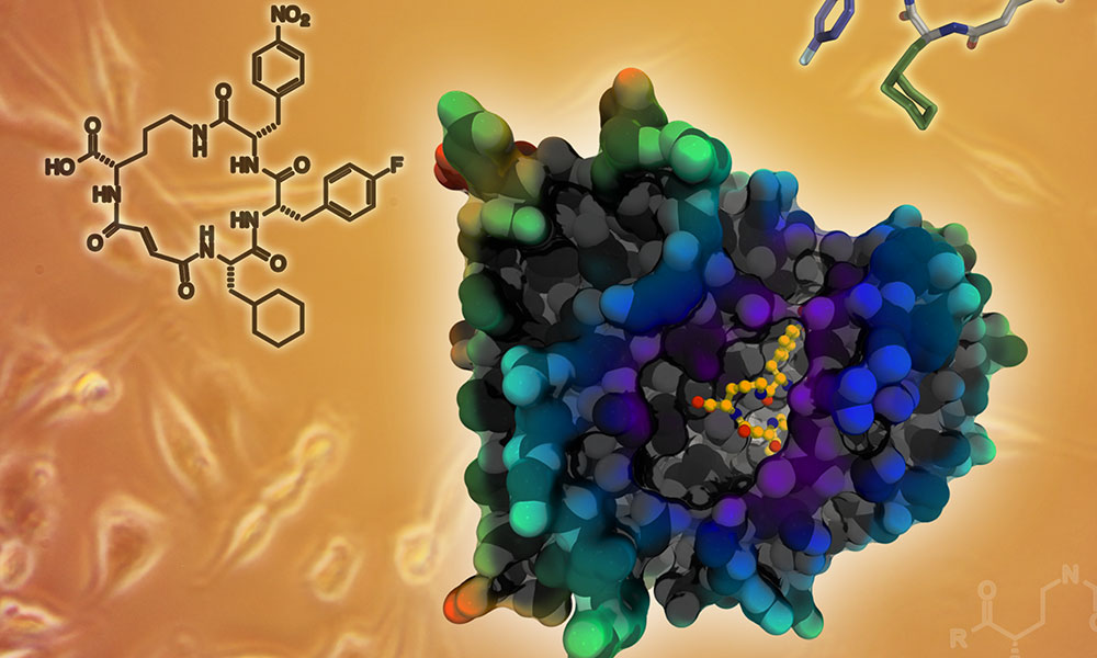 what-is-chemical-biology-jaivikshastram-education-research-foundation